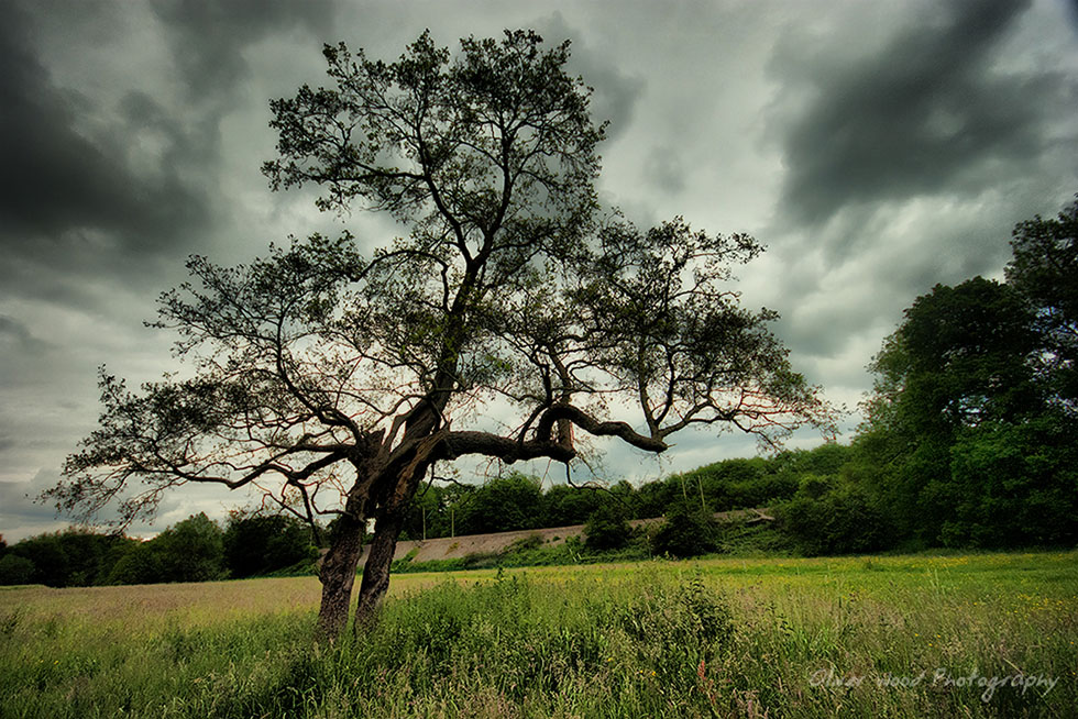 Bollin Valley
