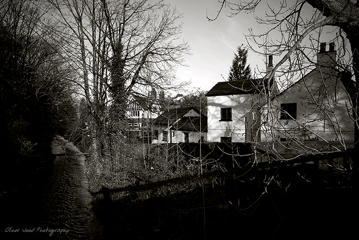 Bollin Grove Prestbury