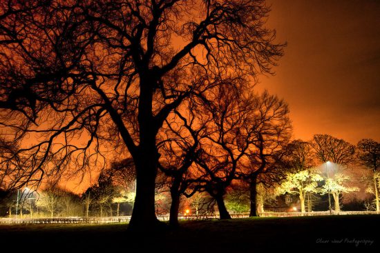 Macclesfield Night