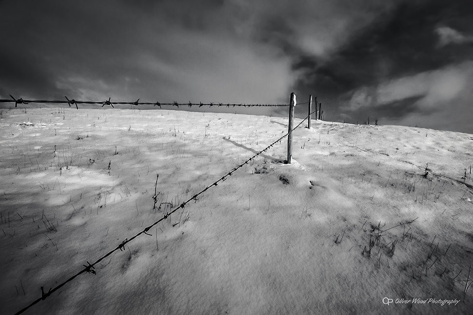 Winter in The Fields