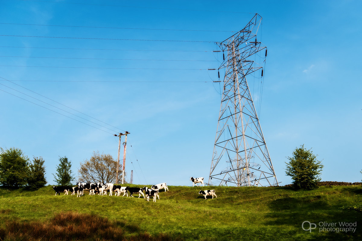 new mills pylon