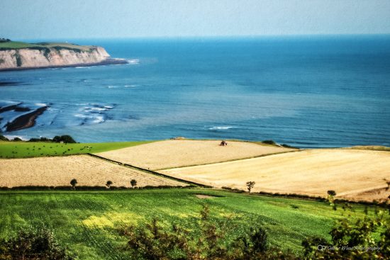 ravenscar farms