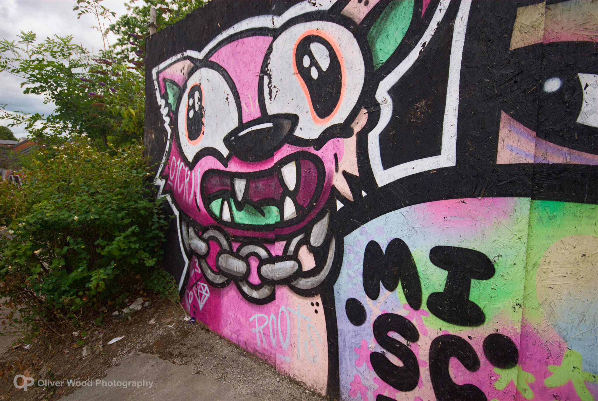 Graffiti art in pink and green with a large eyed creature showing sharp teeth.