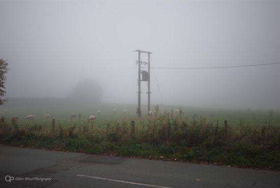 Power pole and transformer in a misty field 